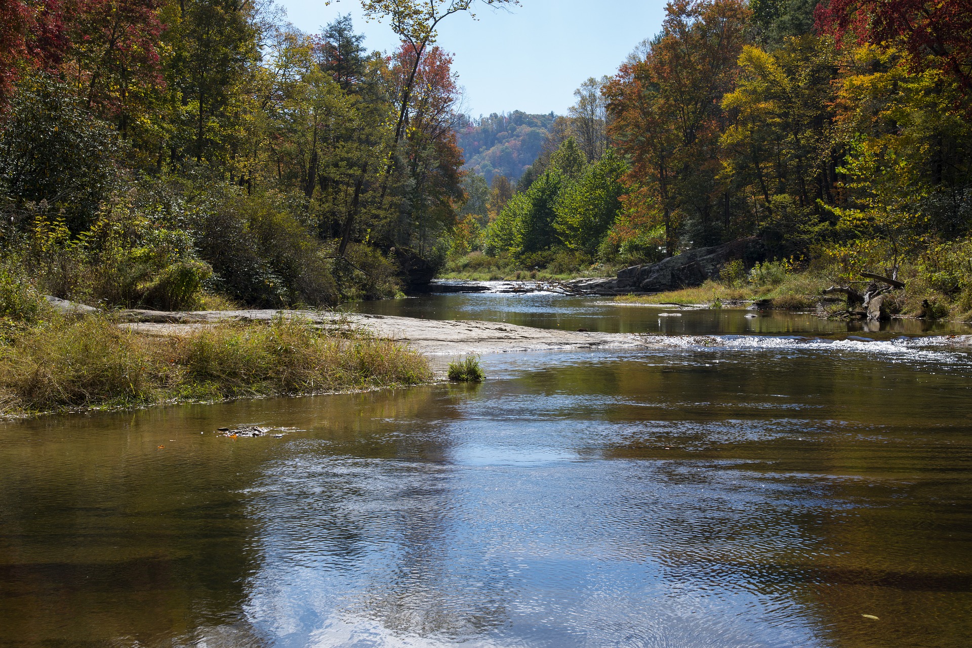 Longtime Alabama Environmental Activist Honored With Award - Wvua 23