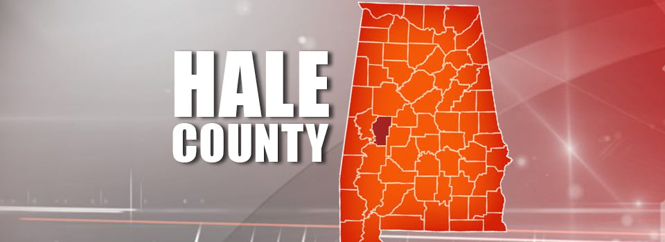 Hale County Web