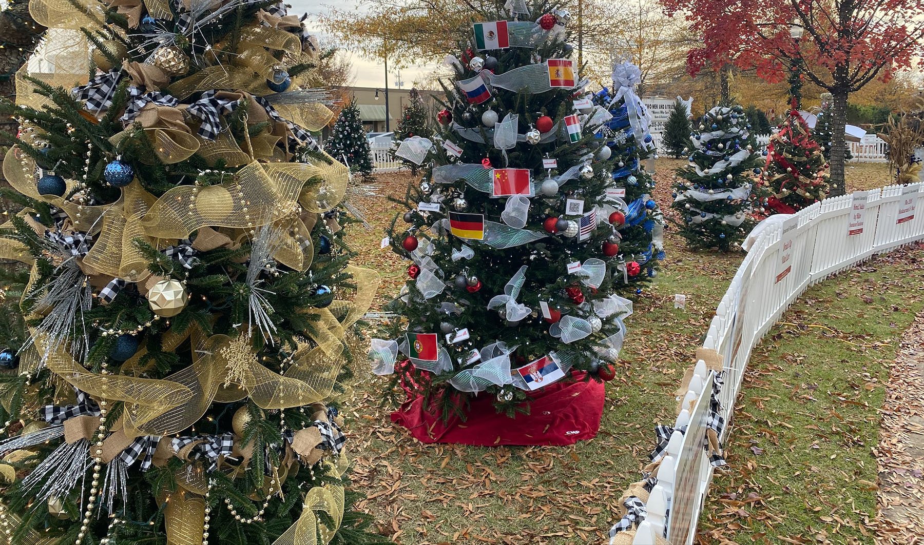 Tinsel Trail grand opening at Government Plaza is tonight WVUA 23