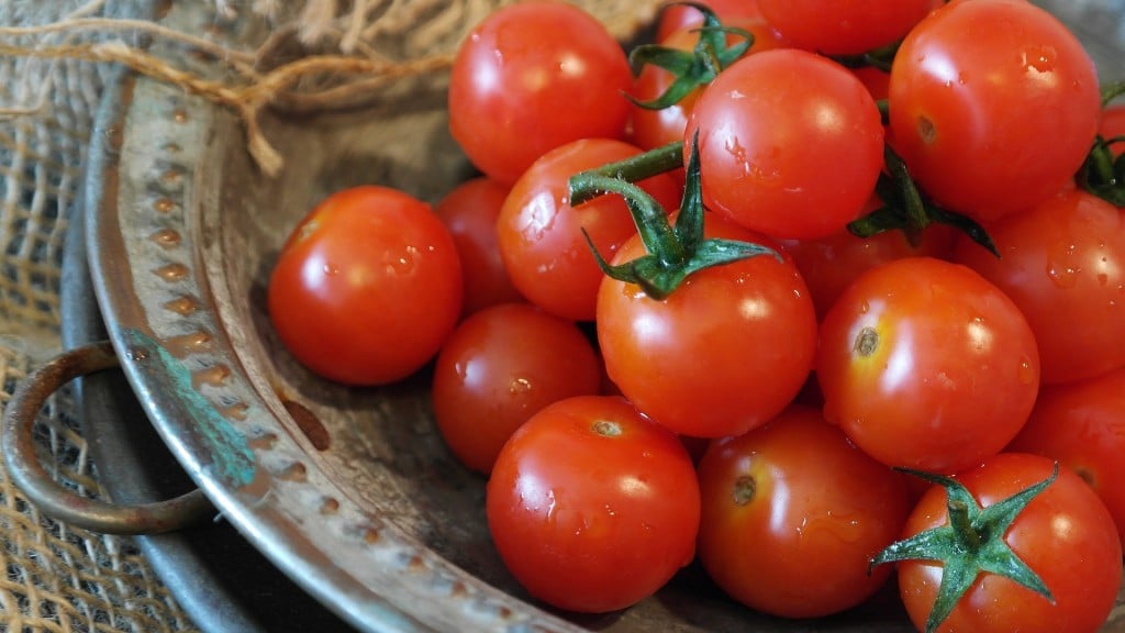 Tomatoes 2559809 1920