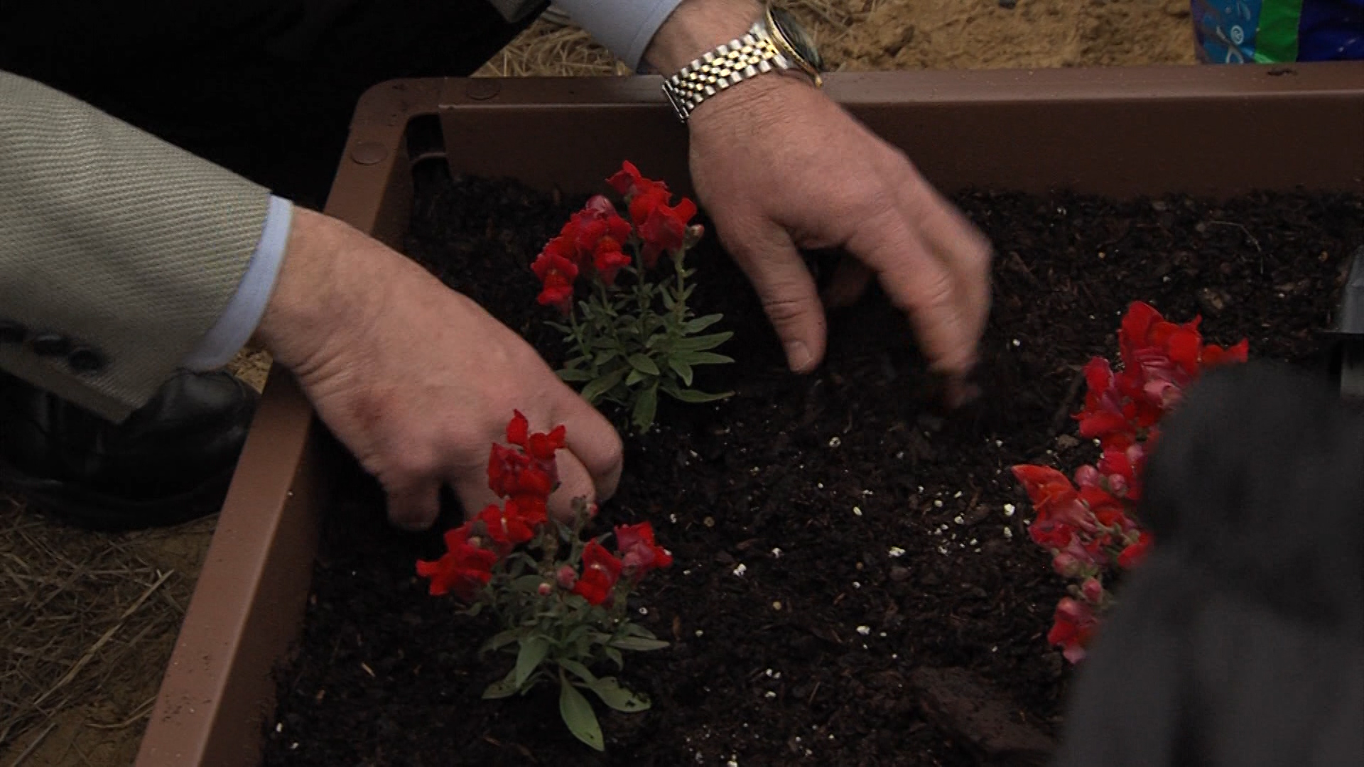 LEARN HOW TO BE A MASTER GARDENER - WVUA 23