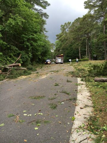 Picture of storm damage on Timber Creek Lane off of Middle Sound Loop Road in New Hanover County. (Photo: Matt Jacobi)