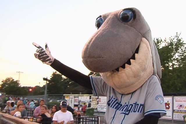 From Wichita State to Wilmington - get to know the Wilmington Sharks