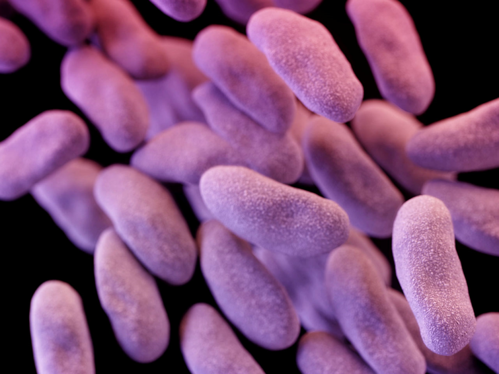 Drug-Resistant Superbug
