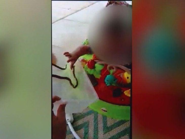 A Highlands County mother posted a video to Facebook showing her one-year-old daughter being bitten by a red rat snake. (Photo: WFTS)
