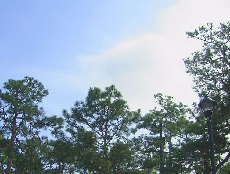 According to the American Lung Association's 2017 state of the air report