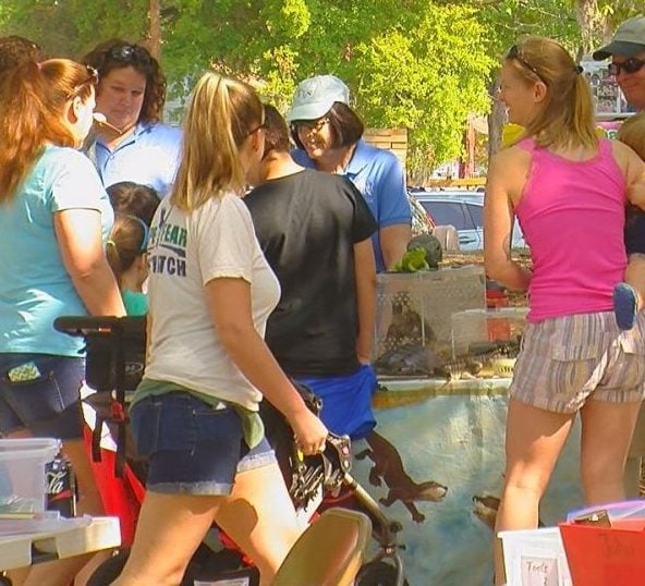 Kids and parents enjoyed many educational booths set up by organizations from the community.