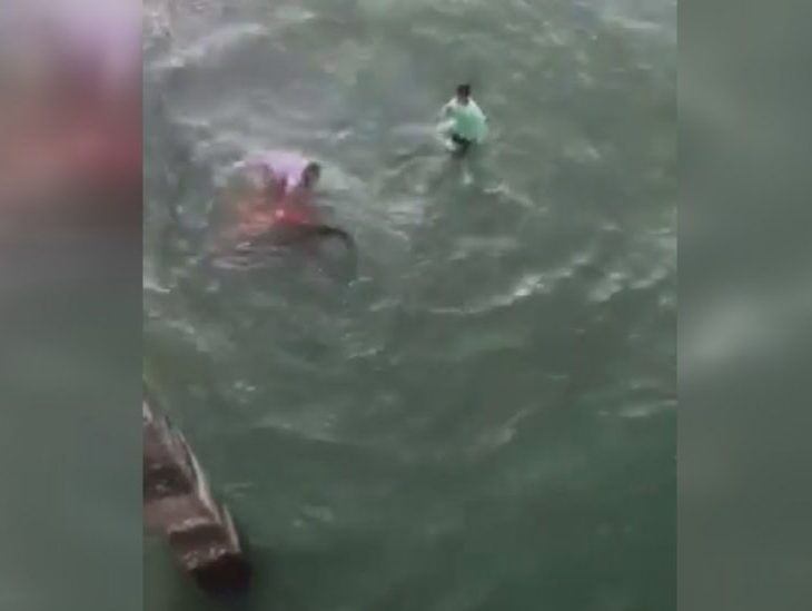 Shark biting man at Johnnie Mercer's Pier on June 29