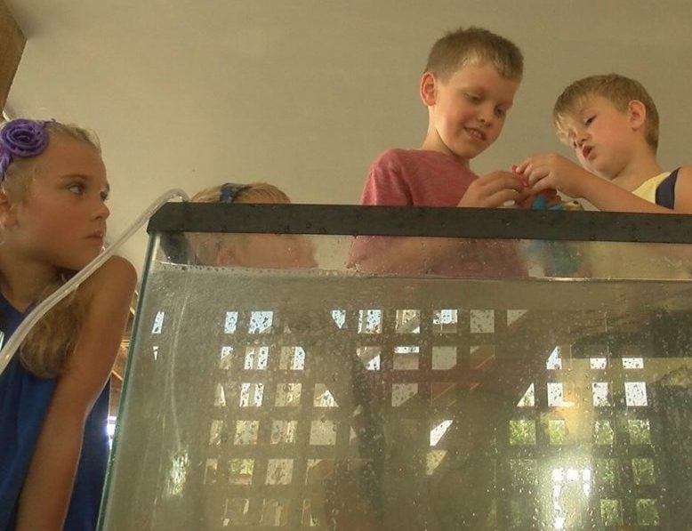 The children from Belarus got to interact with different sea creatures and got to hold some