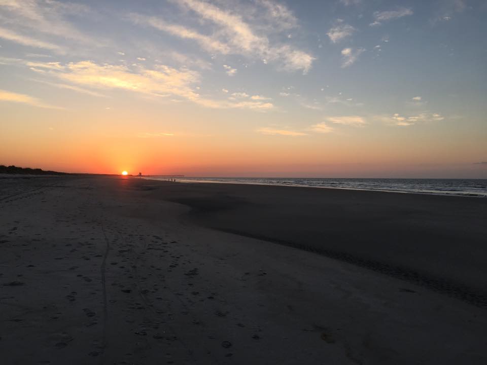 Members of the Sunset Beach Turtle Watch excavate and move the first sea turtle nest of the season