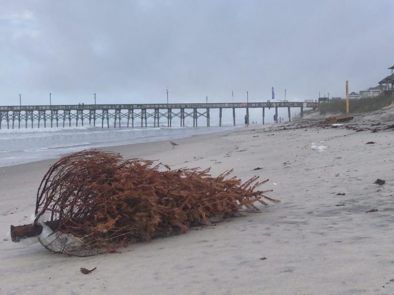 Christmas trees washed ashore after storm Monday night in Surf City