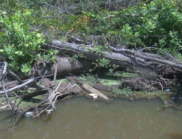 Trees and other debris still block many waterways throughout Bladen County on August 14