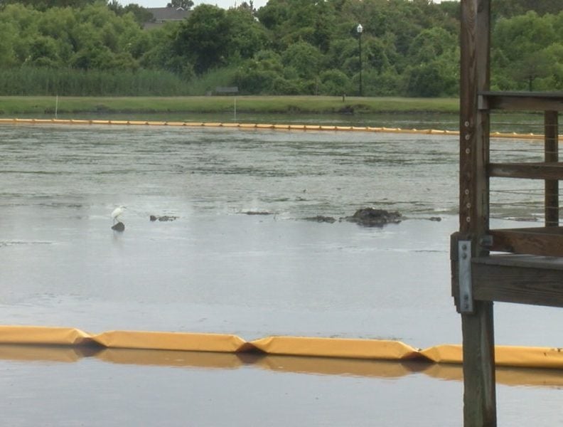 Carolina Beach Lake Park dredging project going as planned - WWAYTV3