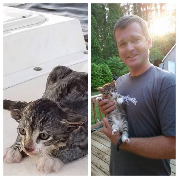 NCDOT workers saved a kitten that was thrown off the Manns Harbor Bridge on May 17