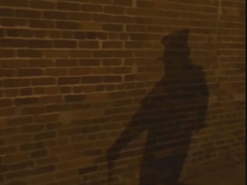 Some say the ghost of a one-time Wilmington resident who was the famed killer "Jack the Ripper" still haunts the Cotton Exchange downtown. (Photo: Brandon Ewers/WWAY)