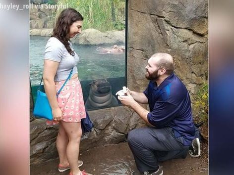 It was more than just a regular visit to this zoo for a couple in Cincinnati
