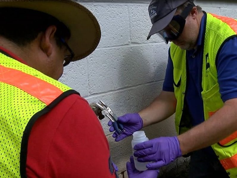NCDEQ crews take water samples from residential wells near the Chemours plant on Sept. 15
