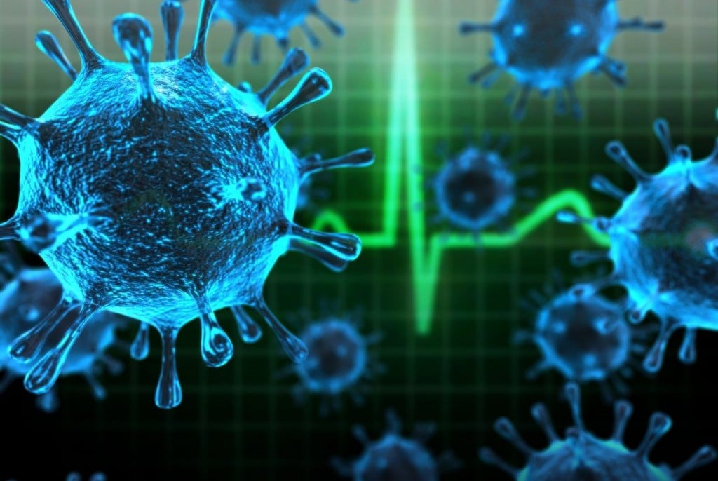 Flu Deaths