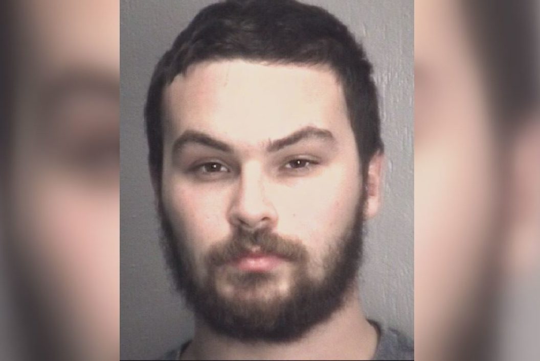 Brunswick County man charged with animal cruelty after dog beaten to ...