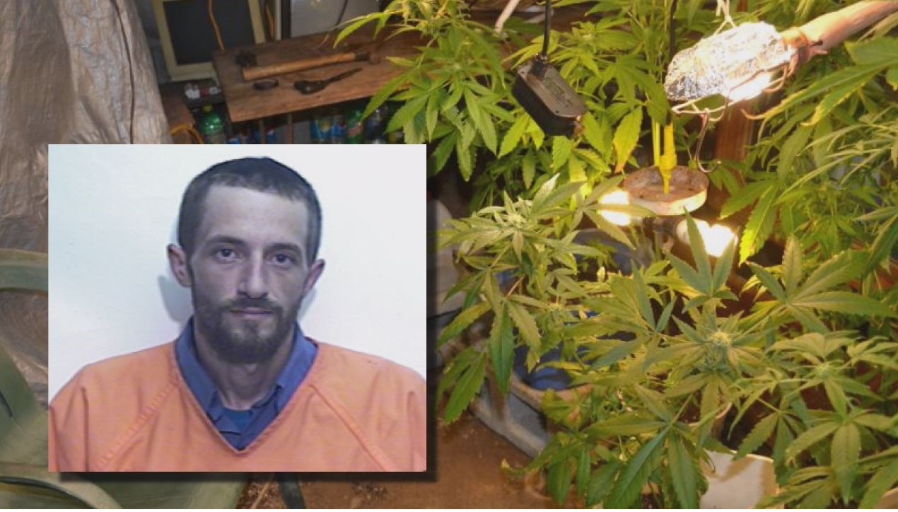 Clarkton man arrested last week on drug charges identified as inmate