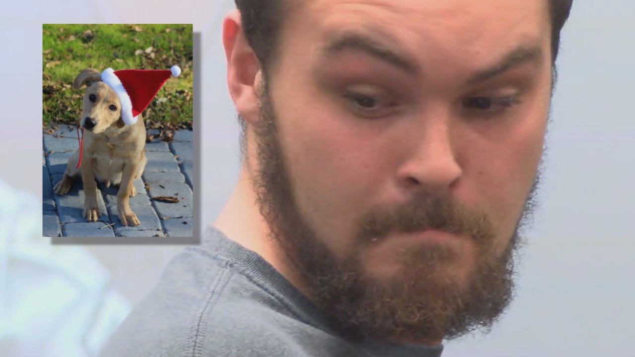 Man pleads guilty to animal cruelty in fatal puppy beating - WWAYTV3