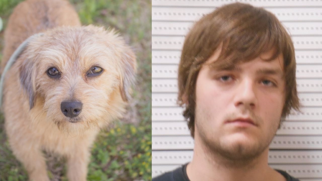 BCSO Man arrested for throwing dog off bridge, dog survives WWAYTV3 BCSO Man arrested for throwing dog off bridge, dog survives WWAYTV3