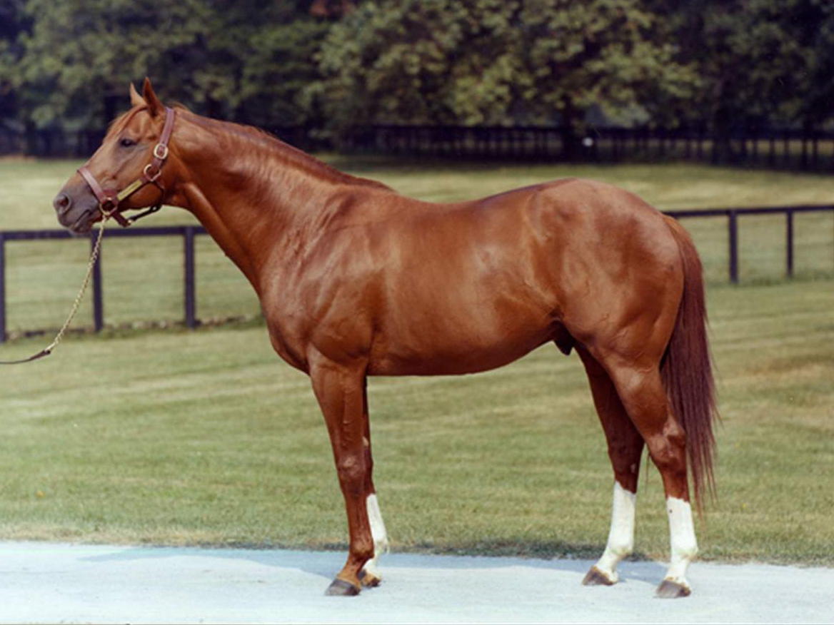 Man gets DUI for allegedly riding horse while drunk with open container