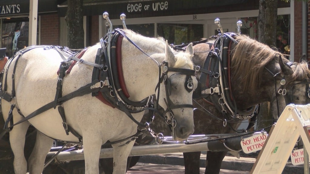 New proposed regulations could change the way horse-drawn carriages in downtown Wilmington operate. (Photo: Kylie Jones/WWAY)