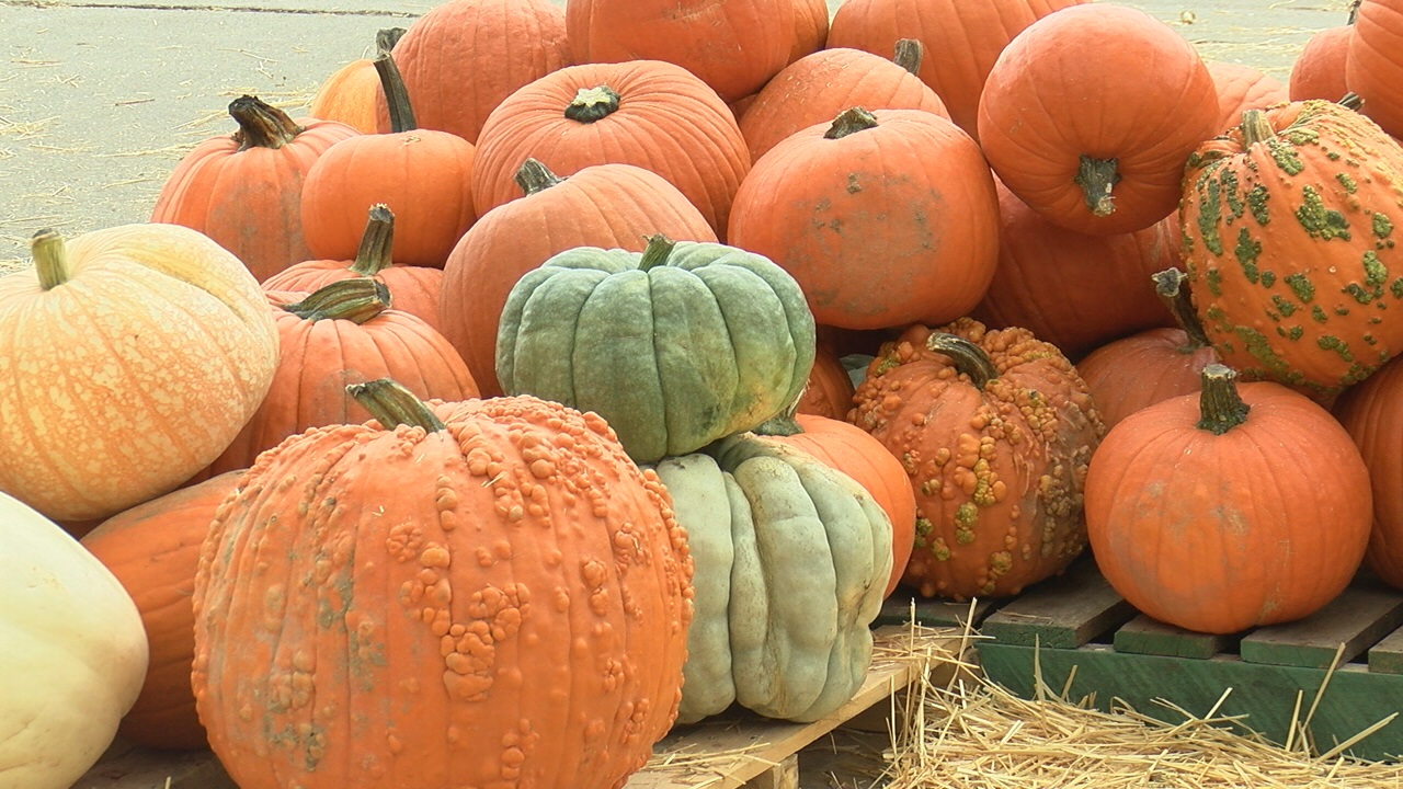 Congratulations to our - The Pumpkin Patch At Wesley UMC