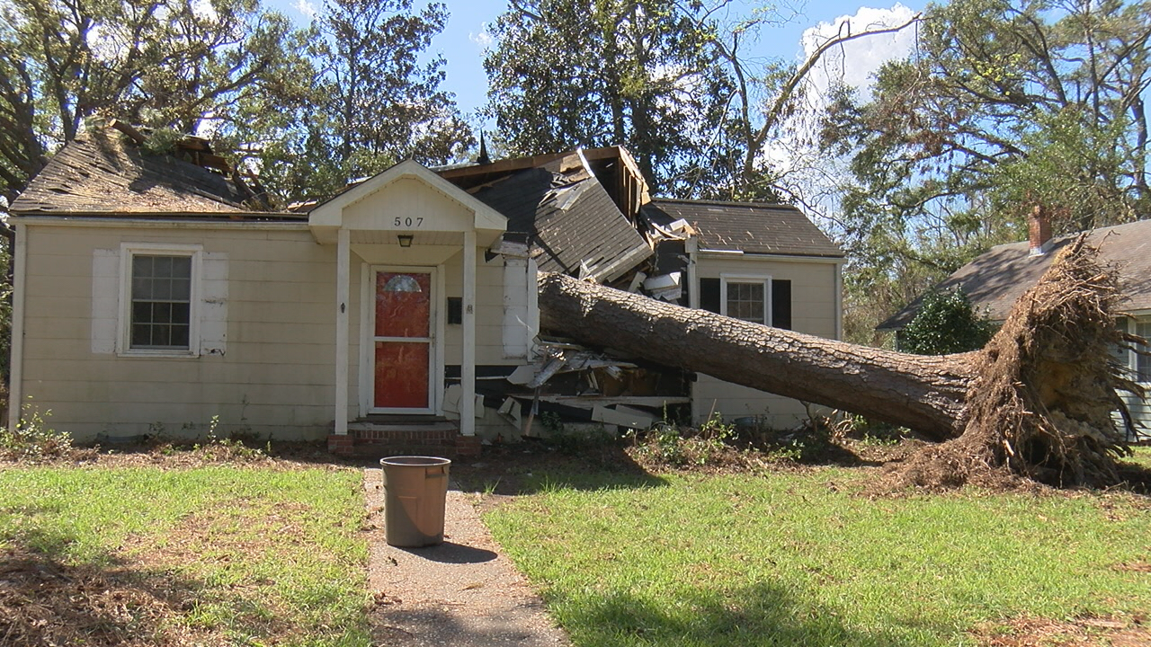 'It was unreal': UNCW professor narrowly missed by falling tree - WWAYTV3