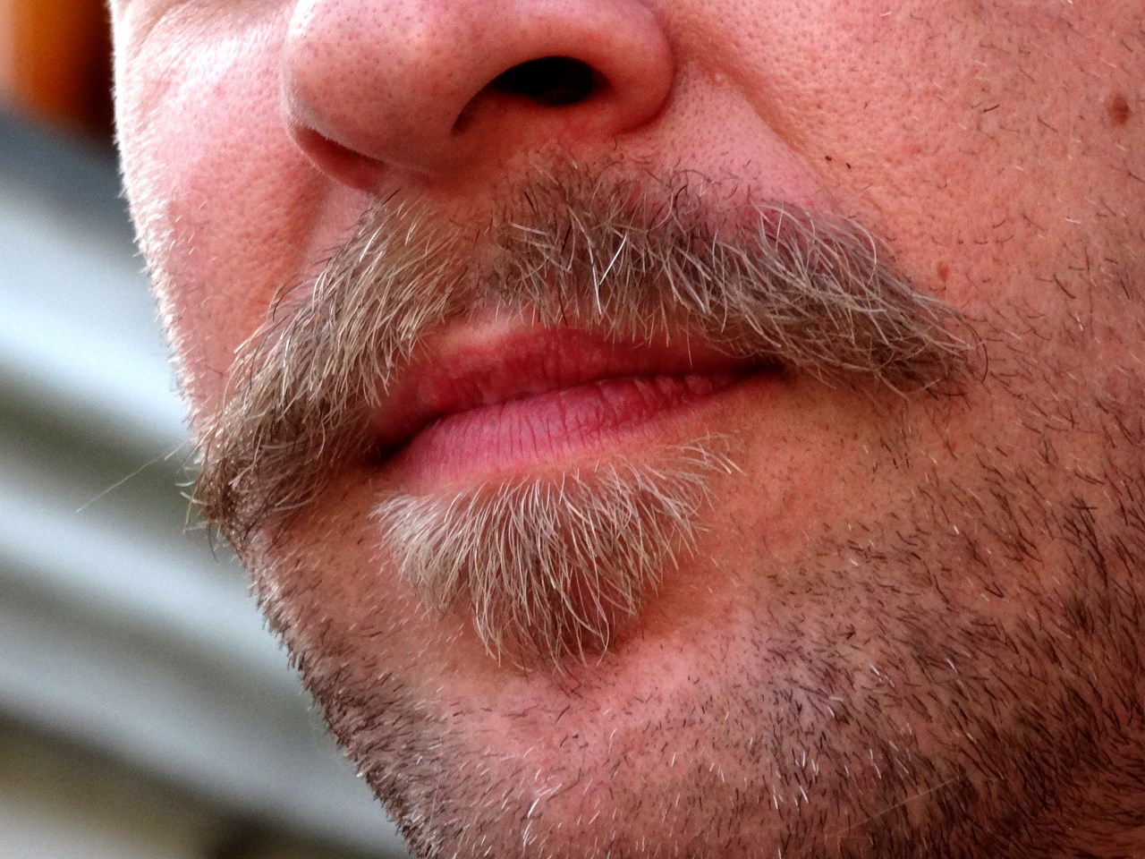 Study Facial hair makes men more attractive to women WWAYTV3