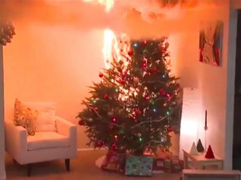 Southport Fire Department urges residents to remove indoor Christmas ...