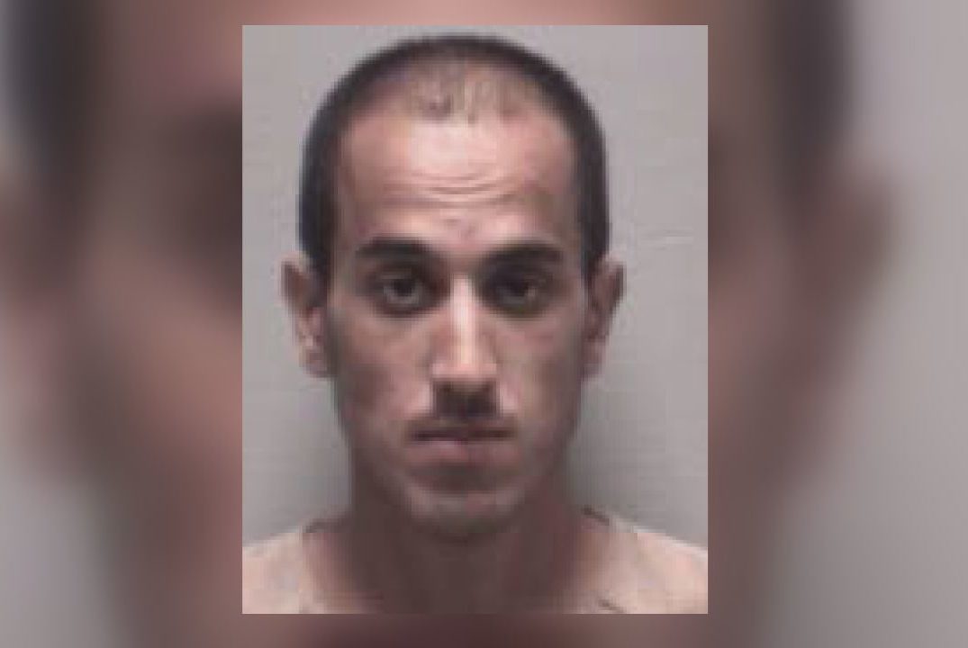 Wilmington man pleads guilty to robbery, setting fire that killed dog ...