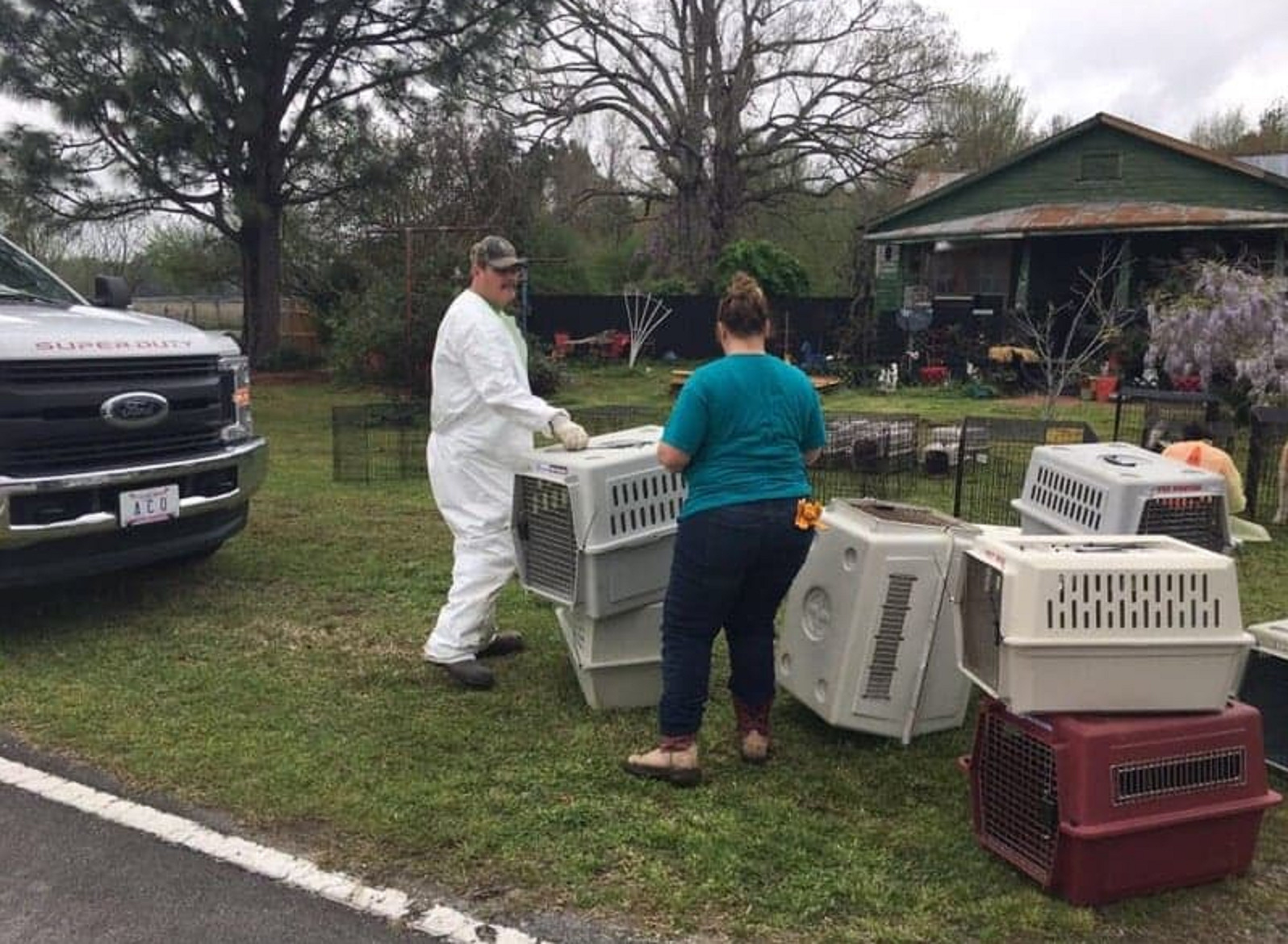 Couple charged after nearly 300 animals seized in Craven County - WWAYTV3