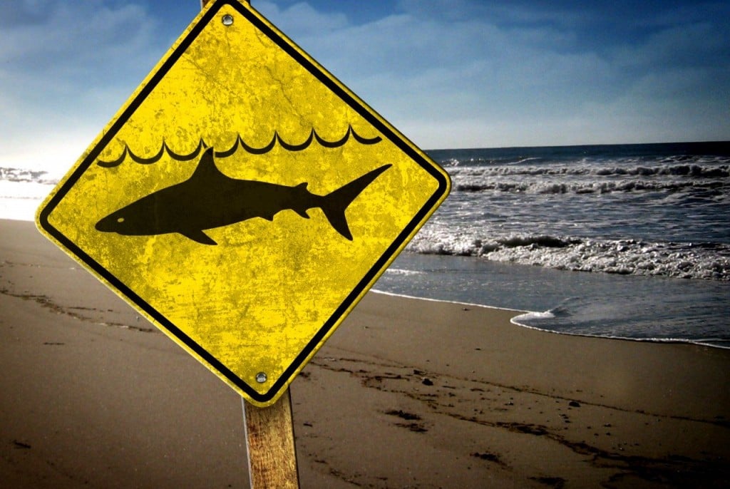 How to stay safe from shark attacks this summer - ABC News