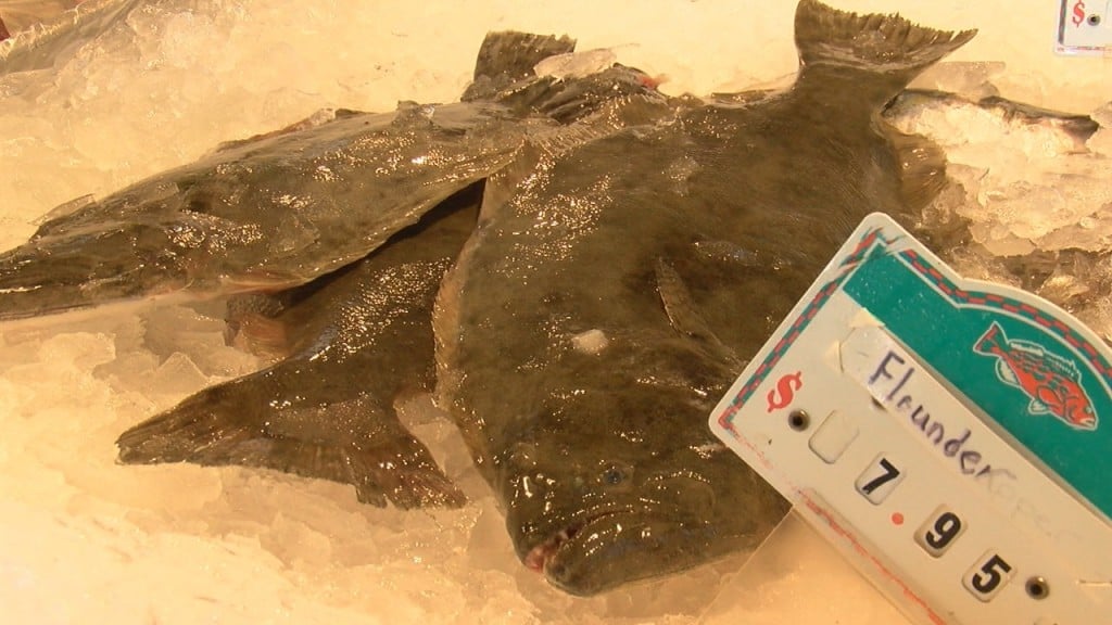 NC Wildlife Commission announces limited 2024 flounder season WWAYTV3