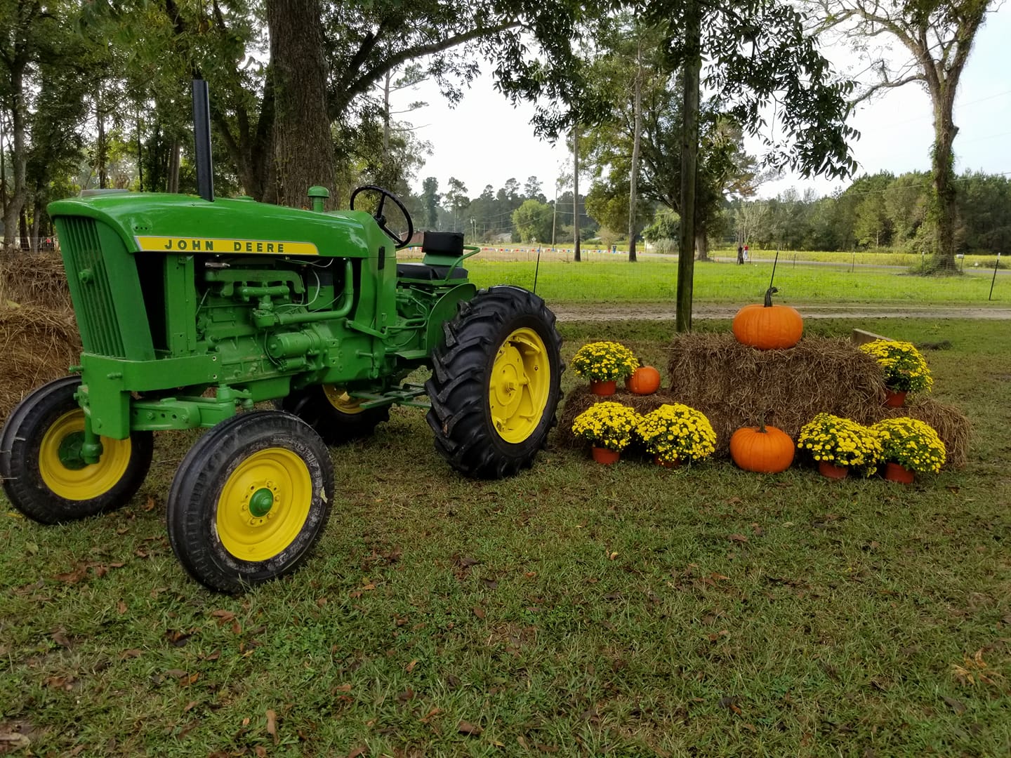 Galloway Farm, Home of Maze Craze