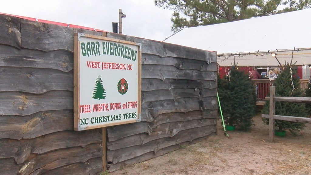 Barr Evergreens is located on the corner of Shipyard and Independence