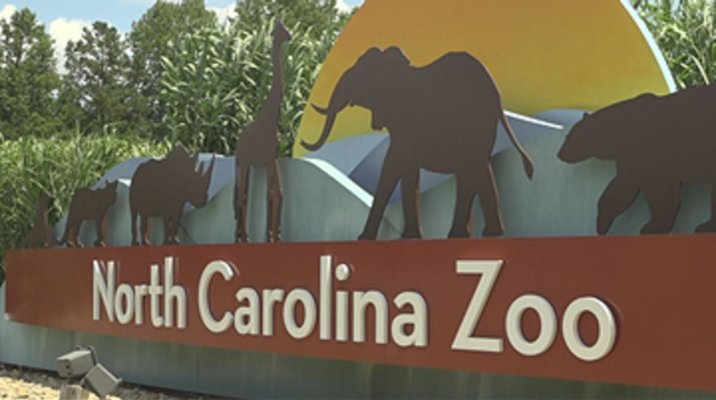 North Carolina Zoo mourns loss of 31-year-old 'amazing, goofy' grizzly ...