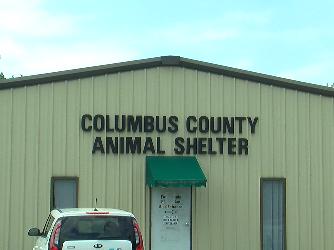 Columbus County Animal Shelter fined thousands for violations WWAYTV3