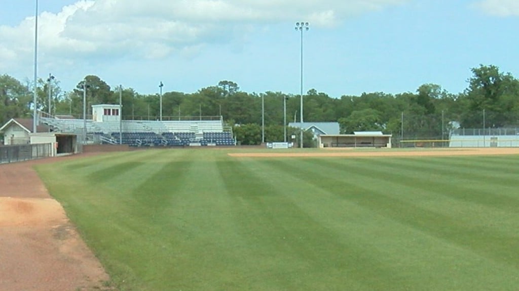 Want to own a piece of Marlins - Morehead City Marlins