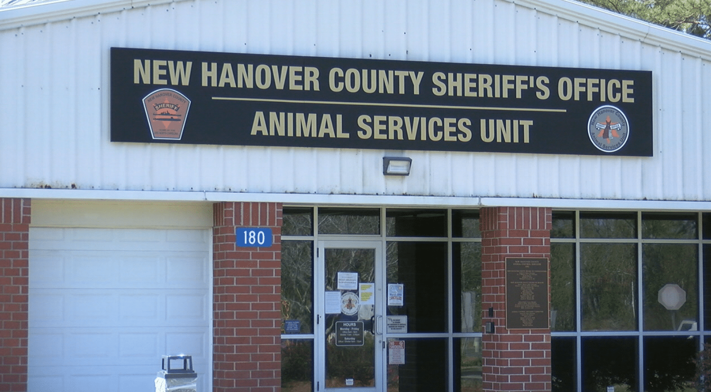 new hanover county animal s