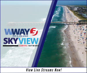 Skyview Title Header 300 X 250 Px