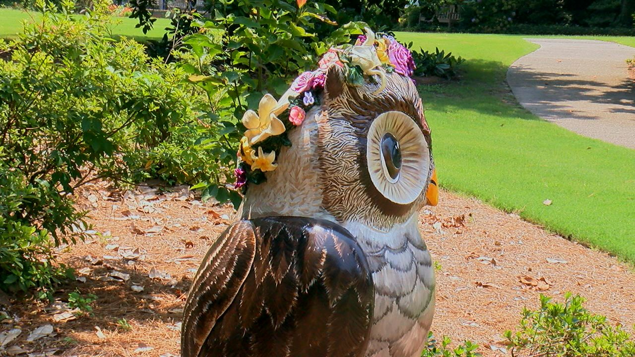 Airlie Gardens 9th annual art exhibit showcasing designs by local