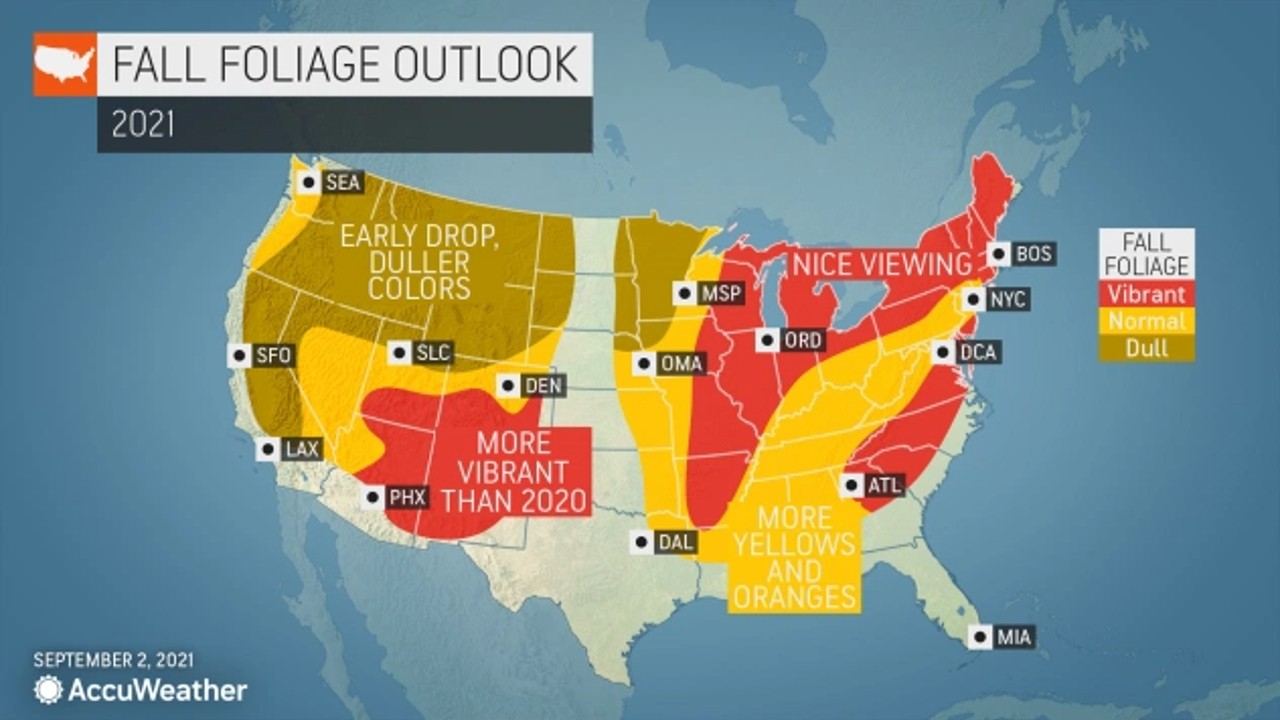 Foliage to boast vibrant colors in the NC mountains this year WWAYTV3