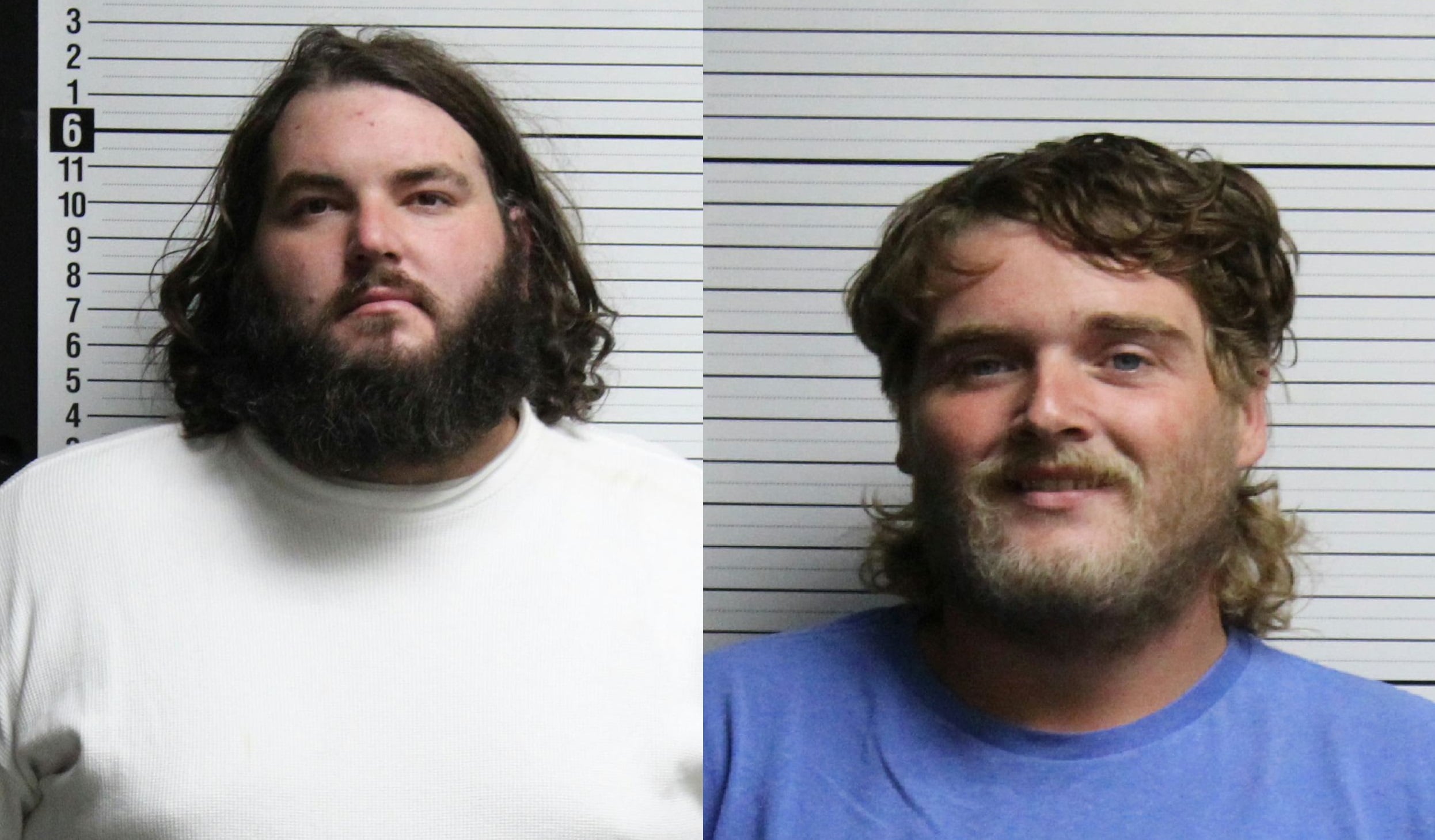 Two men accused of stealing nearly $14K worth of materials from ...