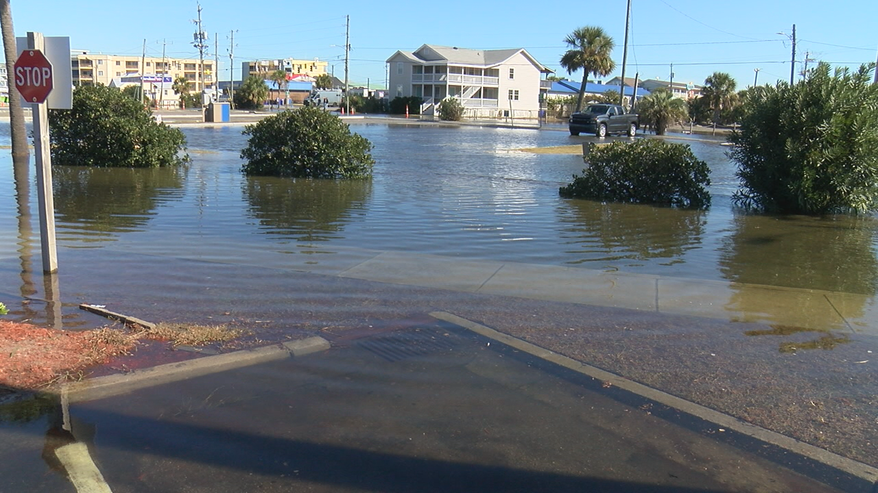 South Carolina King Tides 2025 Maura Nannie