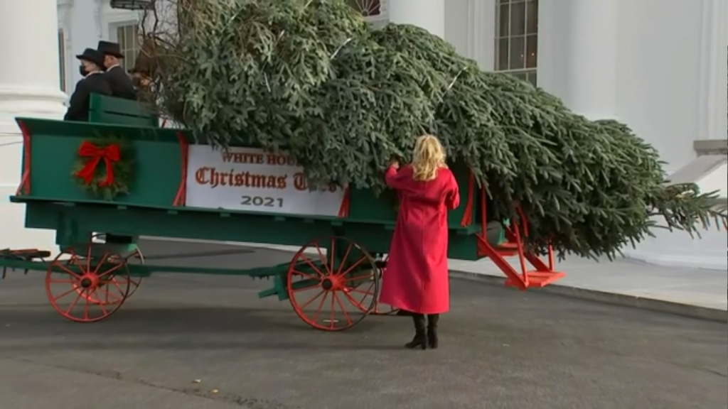 Christmas Tree