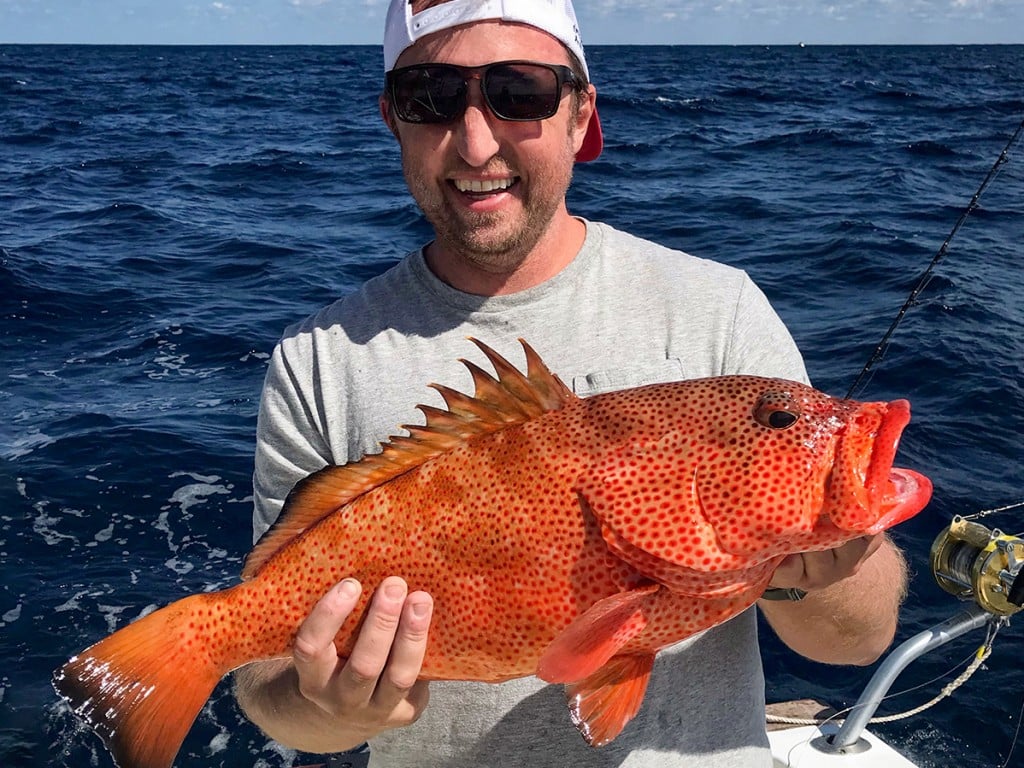 State Record Red Hind