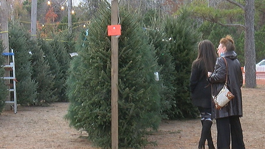 Christmas Tree Shopping